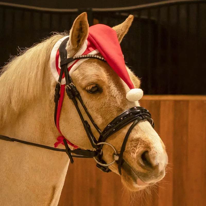 QHP Christmas Horse Hat - Red