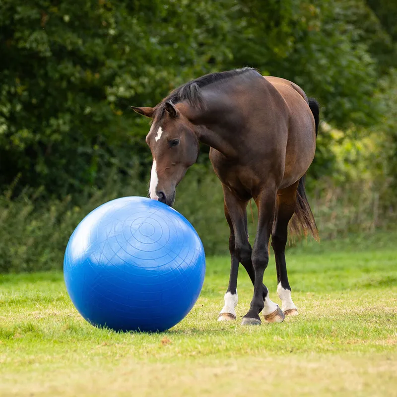 QHP Horse Football - Blue-1