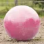QHP Horse Football - Pink