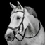 Horseware Micklem Deluxe Competition Bridle - Black
