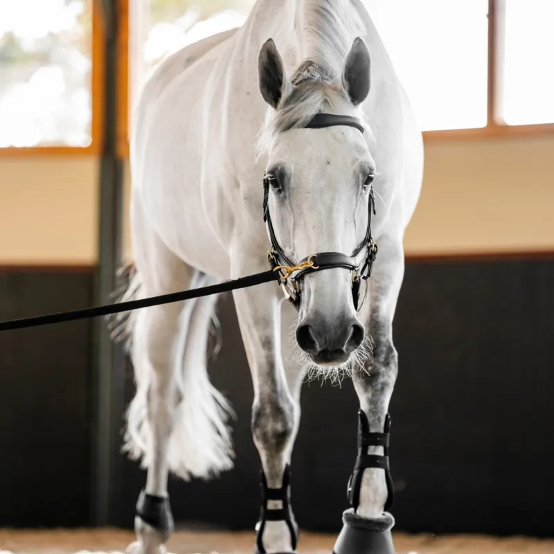 Horseware Micklem Multi Bridle - Black-12