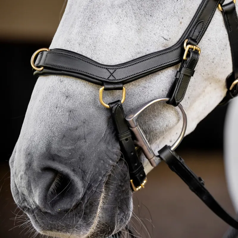 Horseware Micklem Multi Bridle - Black-1
