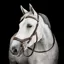 Horseware Micklem Multi Bridle - Dark Havana