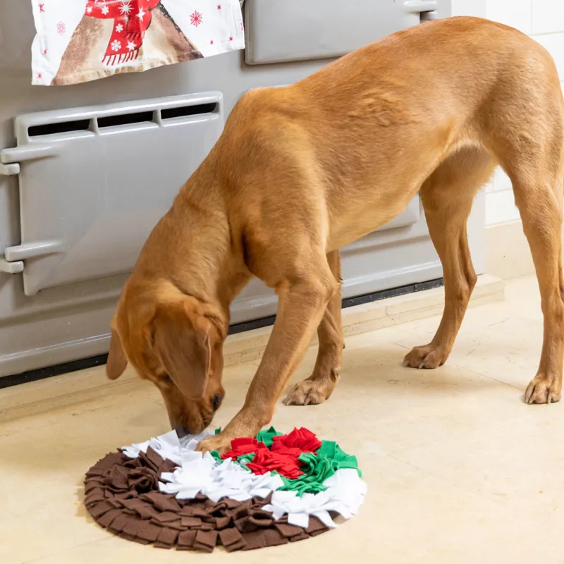 House Of Paws Snuffle Toy - Christmas Pudding-1