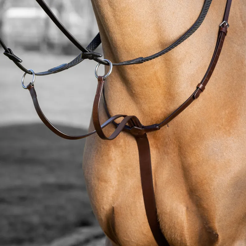 LeMieux Arika Running Martingale - Havana/Silver-1