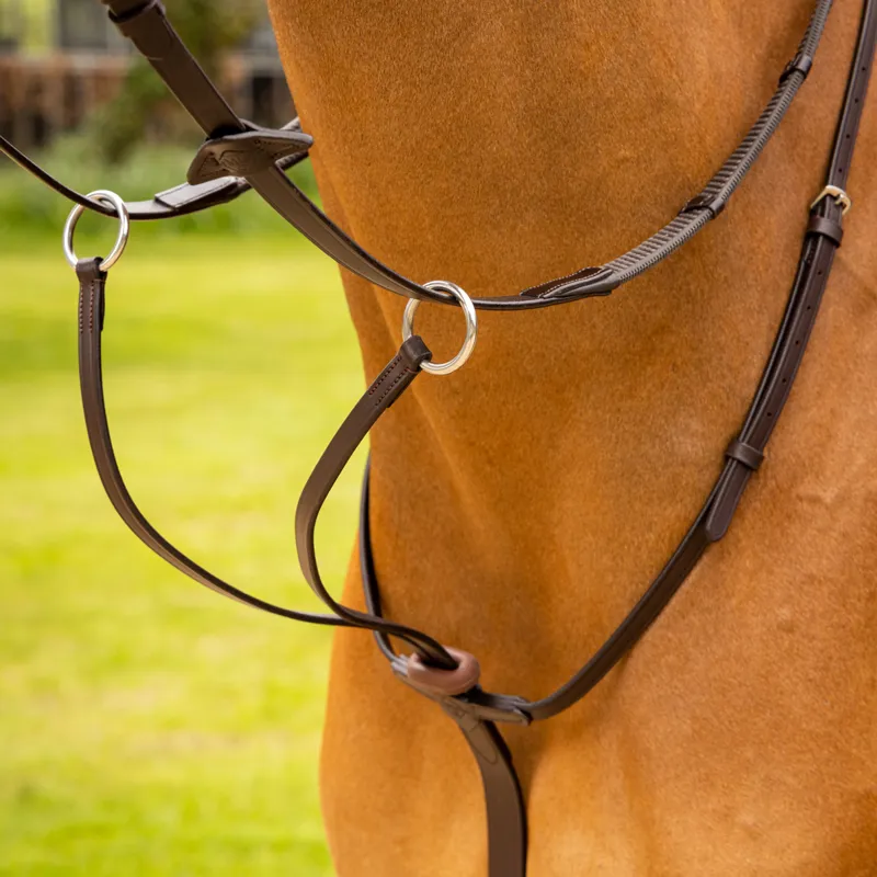 LeMieux Arika Running Martingale - Brown/Silver-1