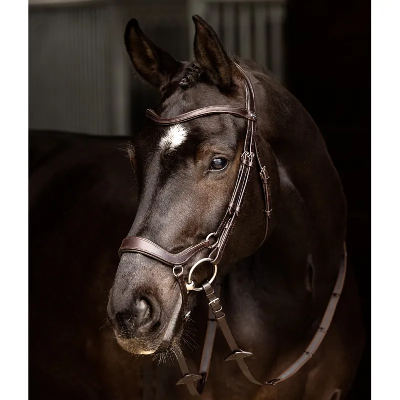 LeMieux Arika Drop Bridle - Brown/Silver-2