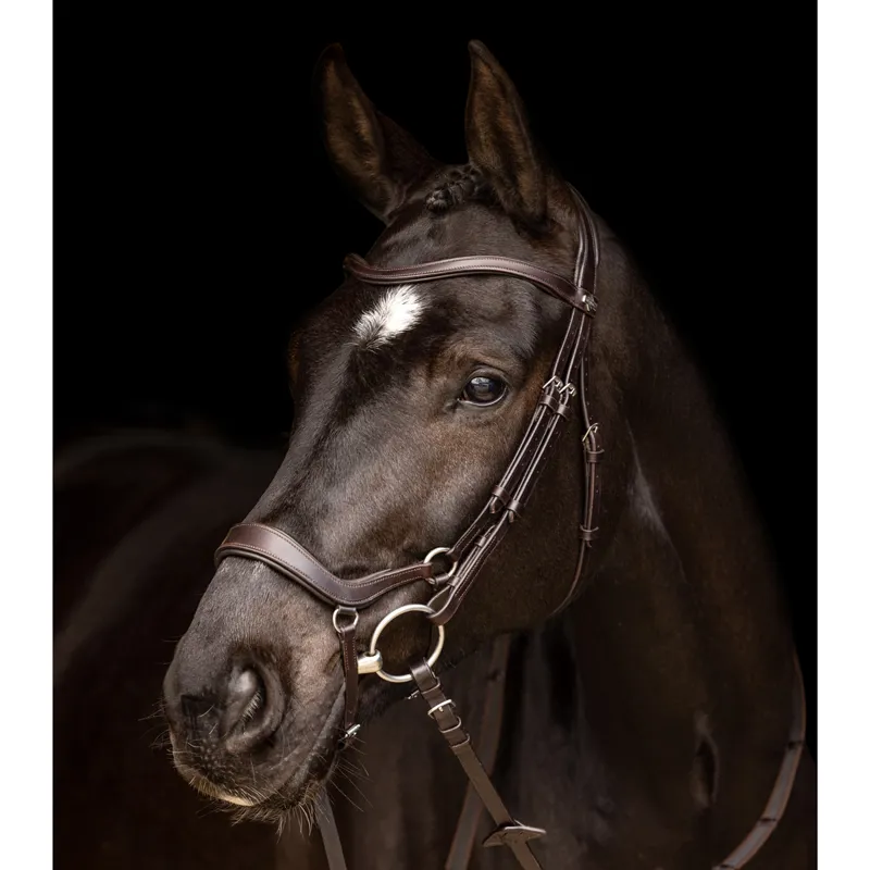 LeMieux Arika Drop Bridle - Brown/Silver-3