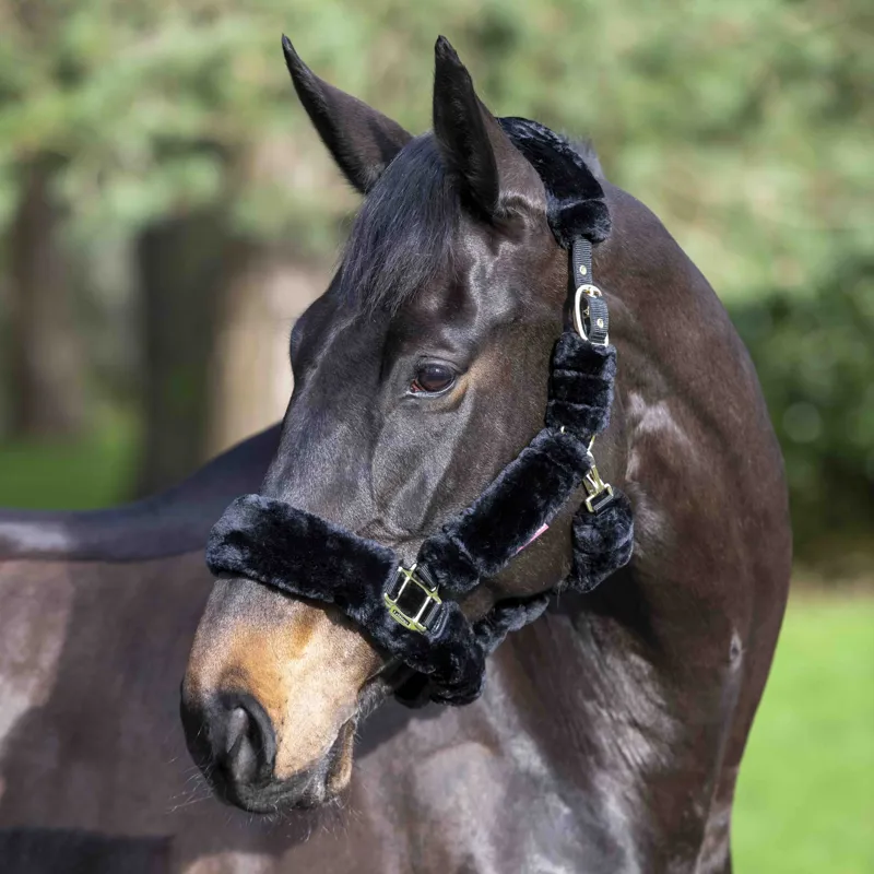 LeMieux Comfort Fleece Headcollar - Black-2