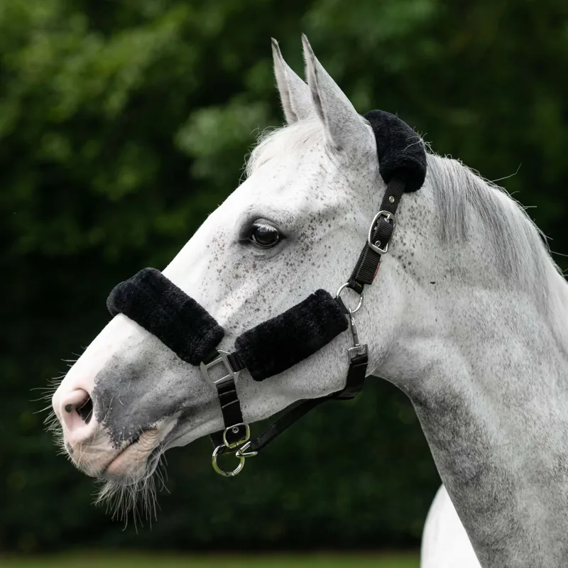 LeMieux Comfort Fleece Headcollar - Black-1