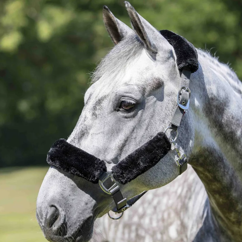 LeMieux Comfort Fleece Headcollar - Black/Grey-1