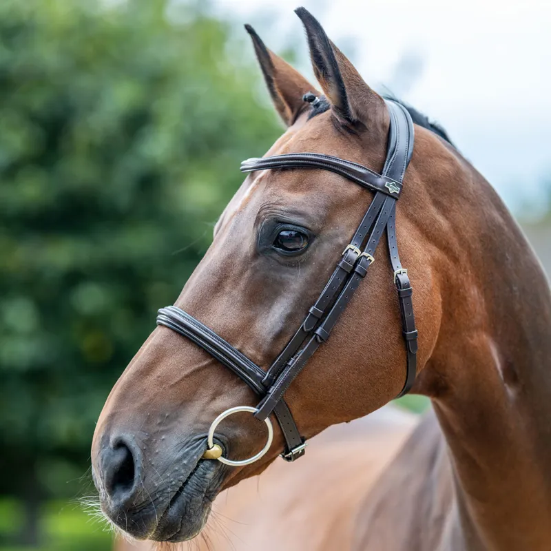 LeMieux Arika Cavesson Bridle - Brown/Silver-1