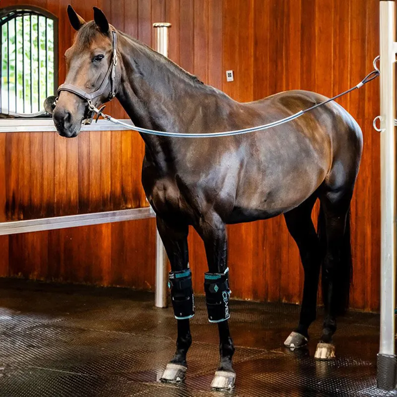 Horseware Ice-Vibe Knee Wraps - Black/Aqua-6