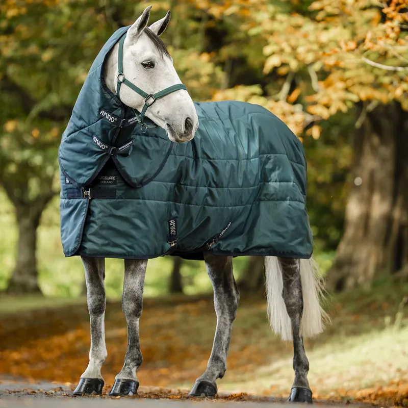 Amigo Ripstop Insulator 200g Stable Hood - Dynasty Green/Navy/Silver-2