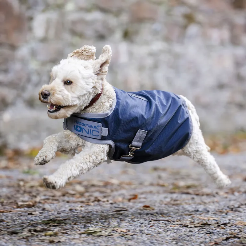 Horseware Ionic Therapy 50g Dog Coat - Imperial Blue/Silver/Navy-8