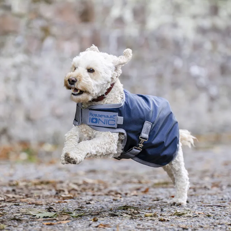 Horseware Ionic Therapy 50g Dog Coat - Imperial Blue/Silver/Navy-1
