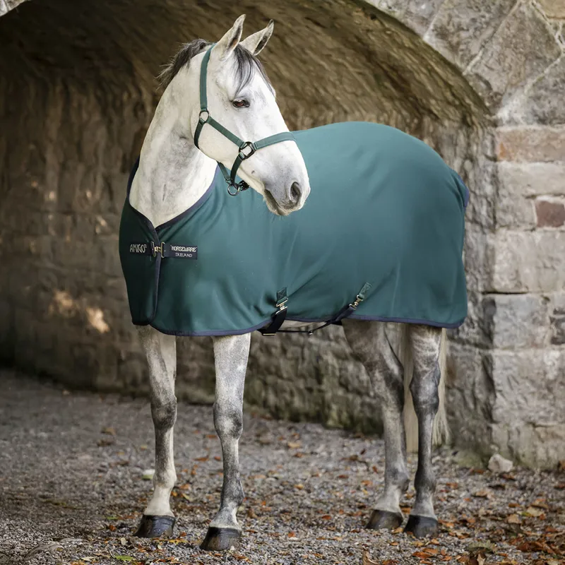 Amigo Jersey Cooler Rug - Dynasty Green/Navy/Silver