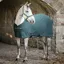 Amigo Jersey Cooler Rug - Dynasty Green/Navy/Silver