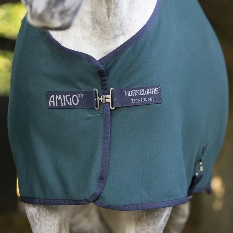 Amigo Jersey Cooler Rug - Dynasty Green/Navy/Silver-1
