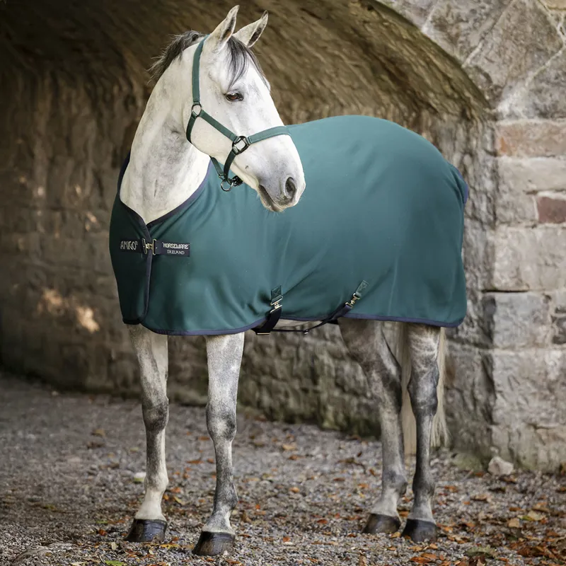 Amigo Pony Jersey Cooler Rug - Dynasty Green/Navy/Silver