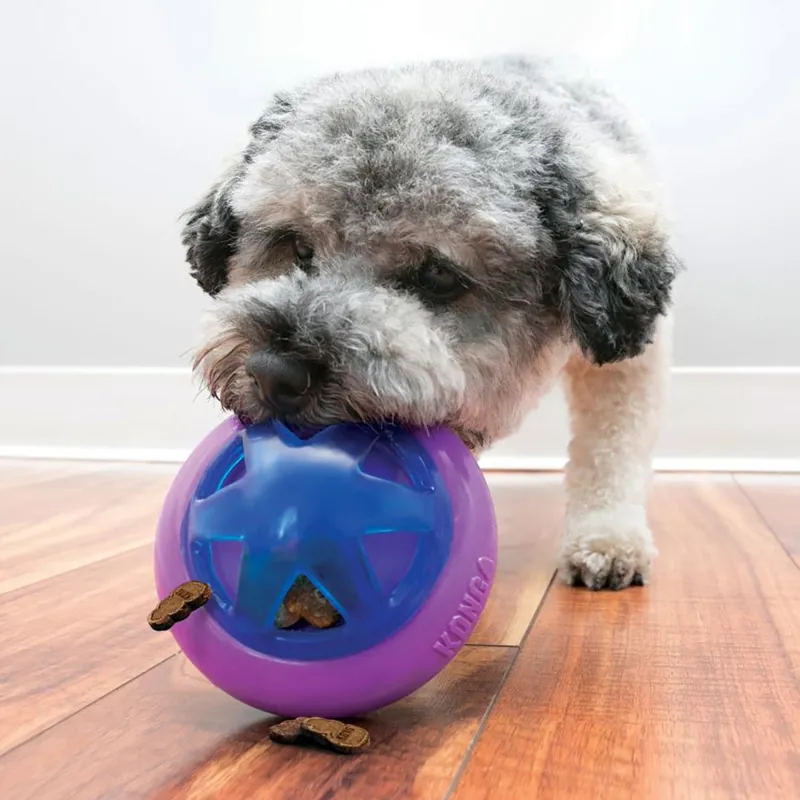 KONG Hopz Dog Ball-1