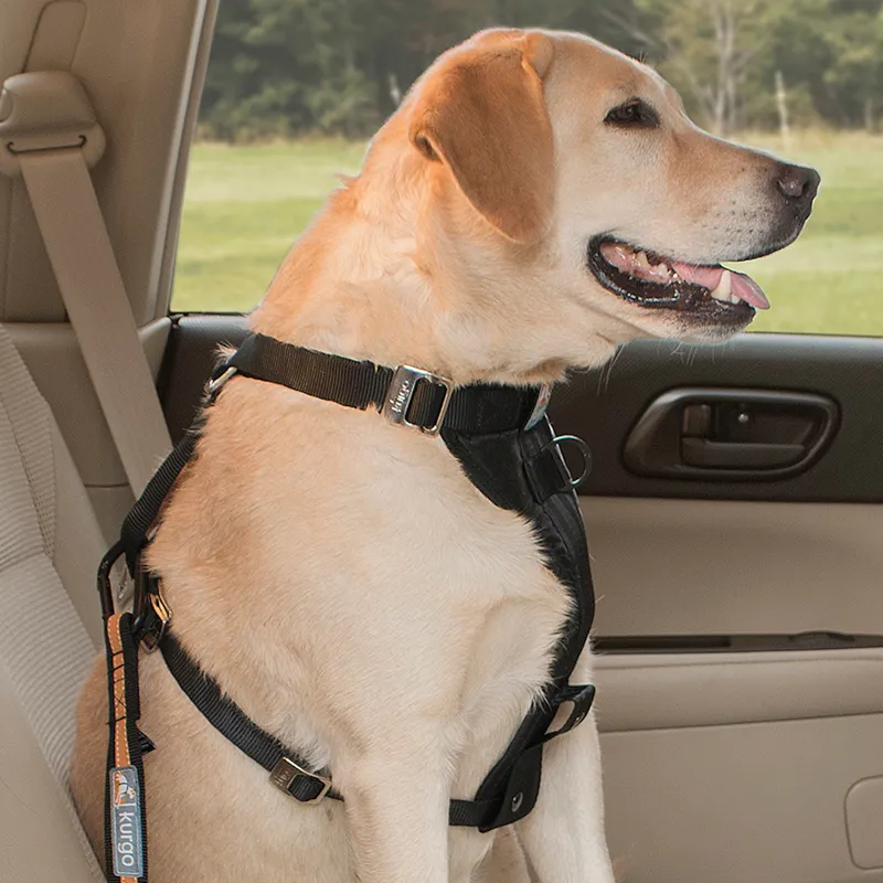 Kurgo Direct to Seatbelt Dog Tether - Black/Orange-1