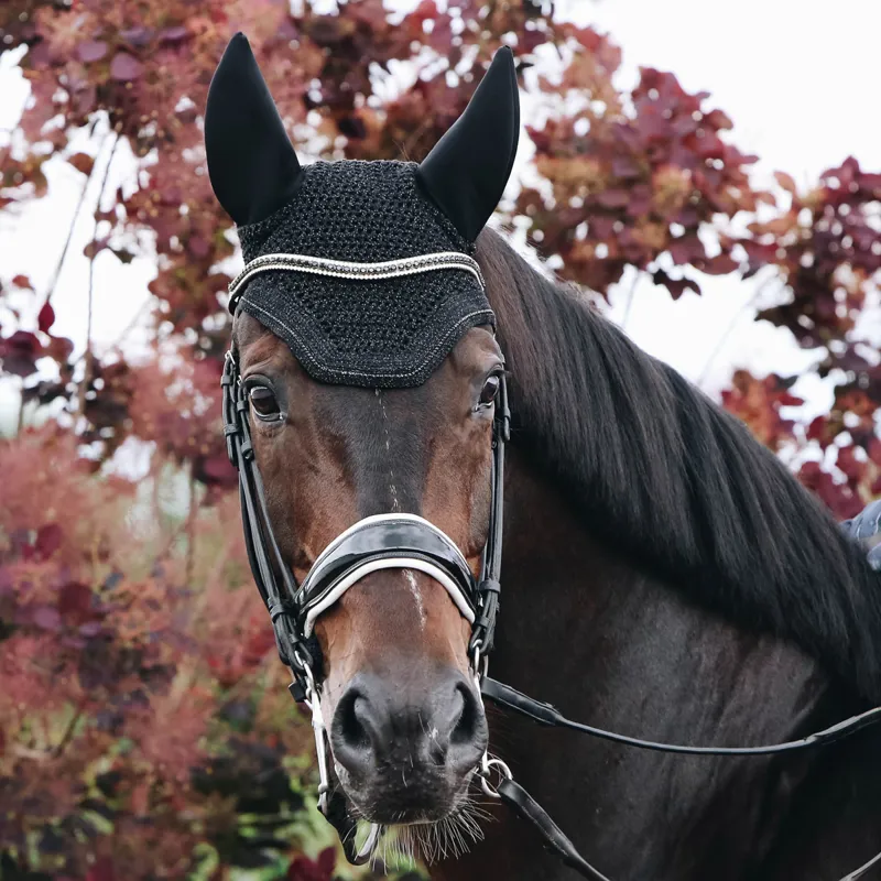 Kentucky Wellington Sparkling Soundless Fly Veil - Black