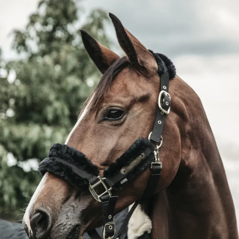 Sheepskin headcollar sale