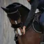 Kentucky Sheepskin Noseband Cover - Black