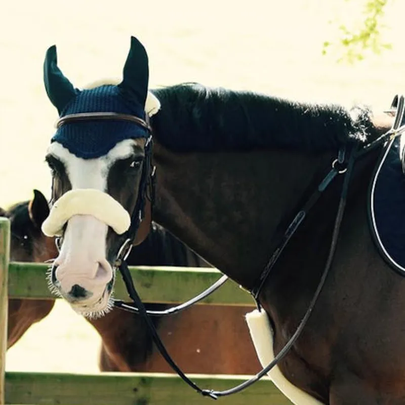 Kentucky Sheepskin Noseband Cover - Natural-1