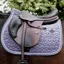 Kentucky Velvet Jumping Saddlecloth - Purple