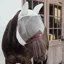 Kentucky Classic Fly Mask with Ears and Nose Tassels - Silver