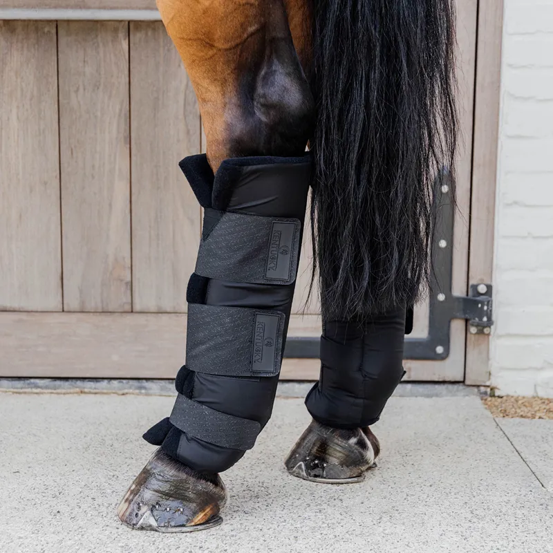 Kentucky PROtect Classic Stable/Travel Hind Boots - Black