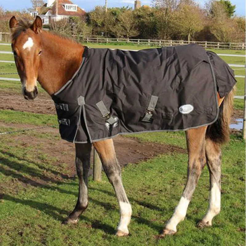 Rhinegold Konig Foal/Small Pony 200g Turnout Rug - Black