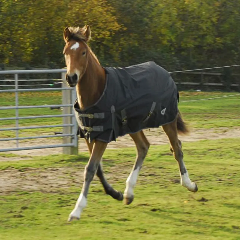 Rhinegold Konig Foal/Small Pony 200g Turnout Rug - Black-1