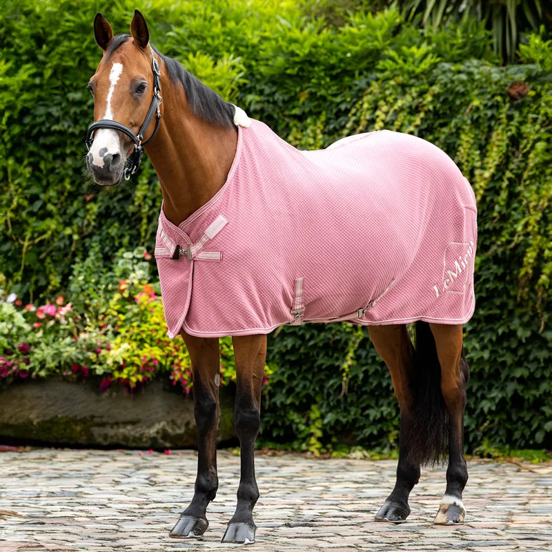 LeMieux Kudos Bamboo Cooler Rug - Peony