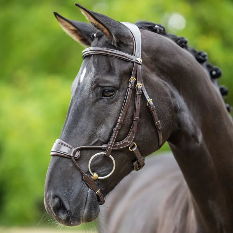 LeMieux Kudos Clear Arc Bridle - Havana/Brass-1