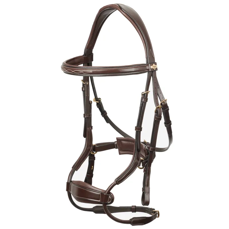 LeMieux Kudos Clear Arc Bridle - Havana/Brass