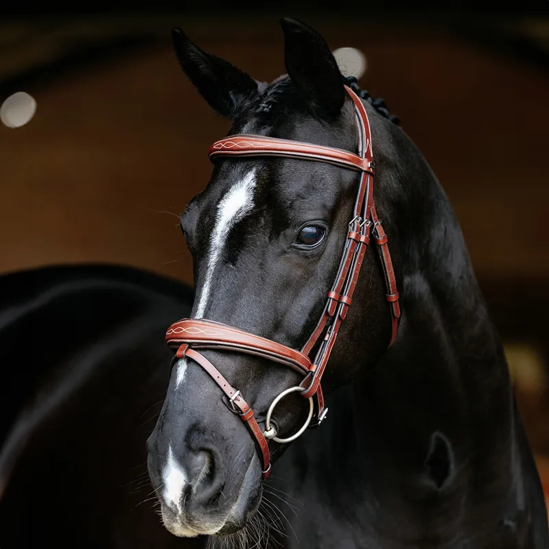 LeMieux Kudos Competition Flash Bridle - Chestnut-1