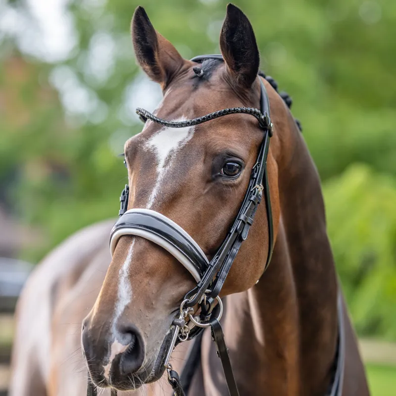 LeMieux Kudos Double Bridle - Black/White-1