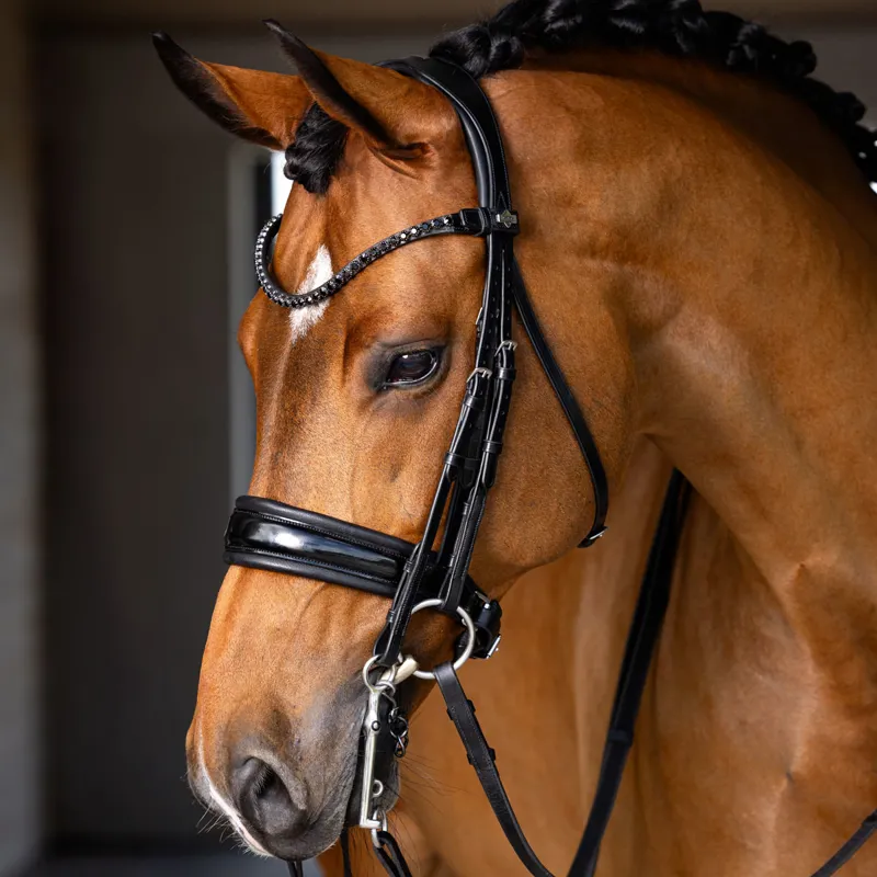 LeMieux Kudos Double Bridle - Black-2