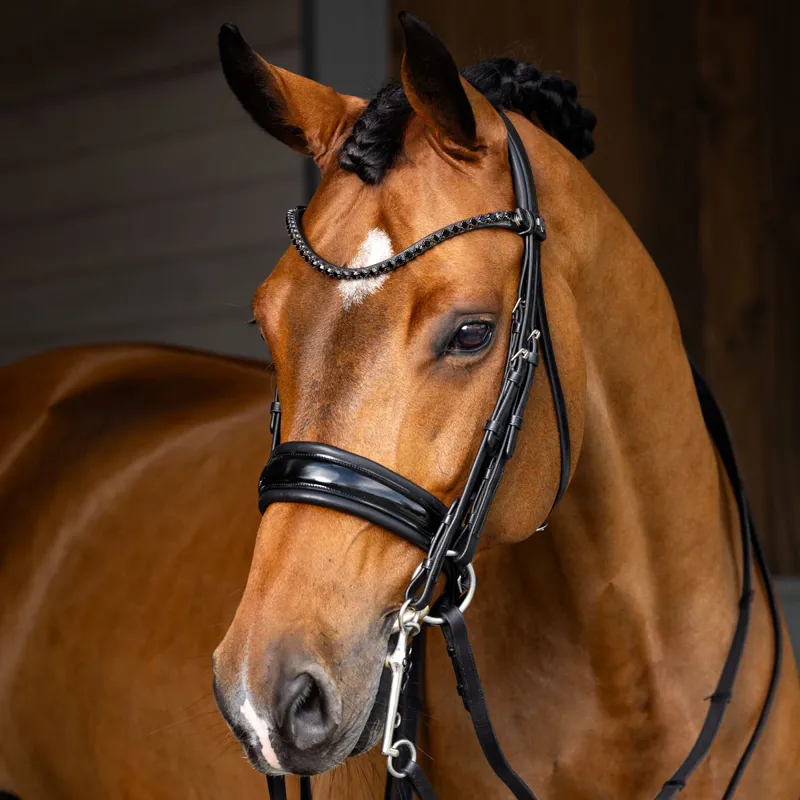 LeMieux Kudos Double Bridle - Black-1