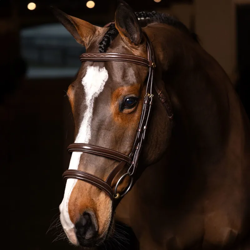 LeMieux Kudos Double Noseband Bridle - Havana/Brass-1