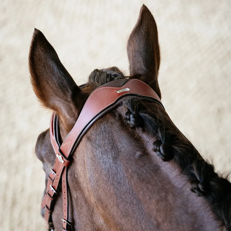 LeMieux Kudos Grackle Bridle - Chestnut-4