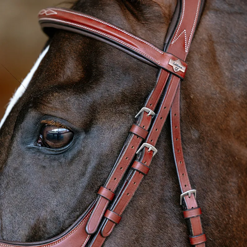 LeMieux Kudos Grackle Bridle - Chestnut-3