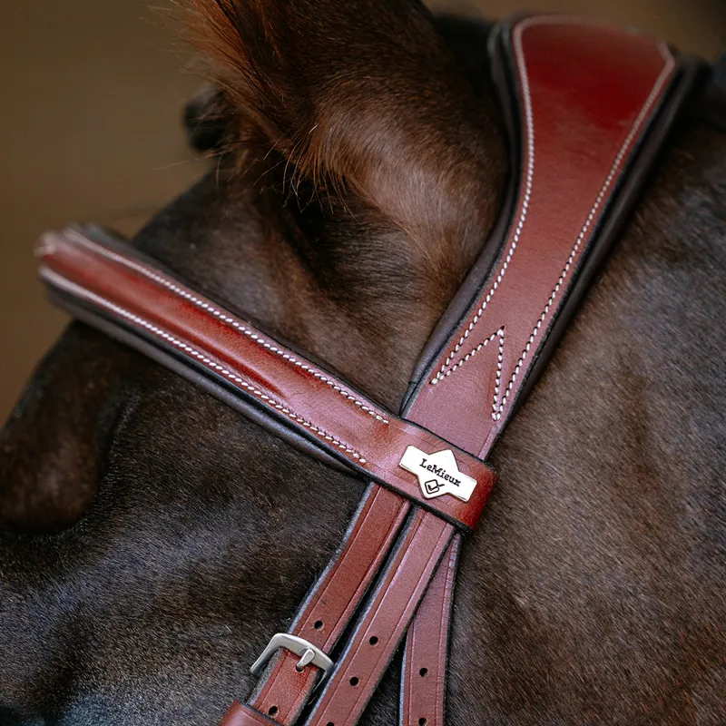 LeMieux Kudos Grackle Bridle - Chestnut-2