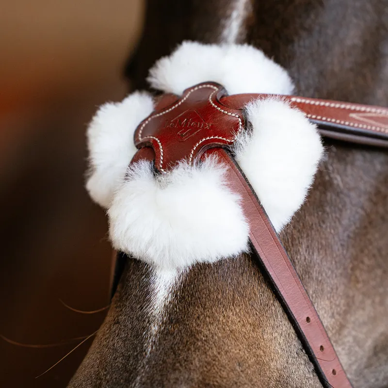 LeMieux Kudos Grackle Bridle - Chestnut-1