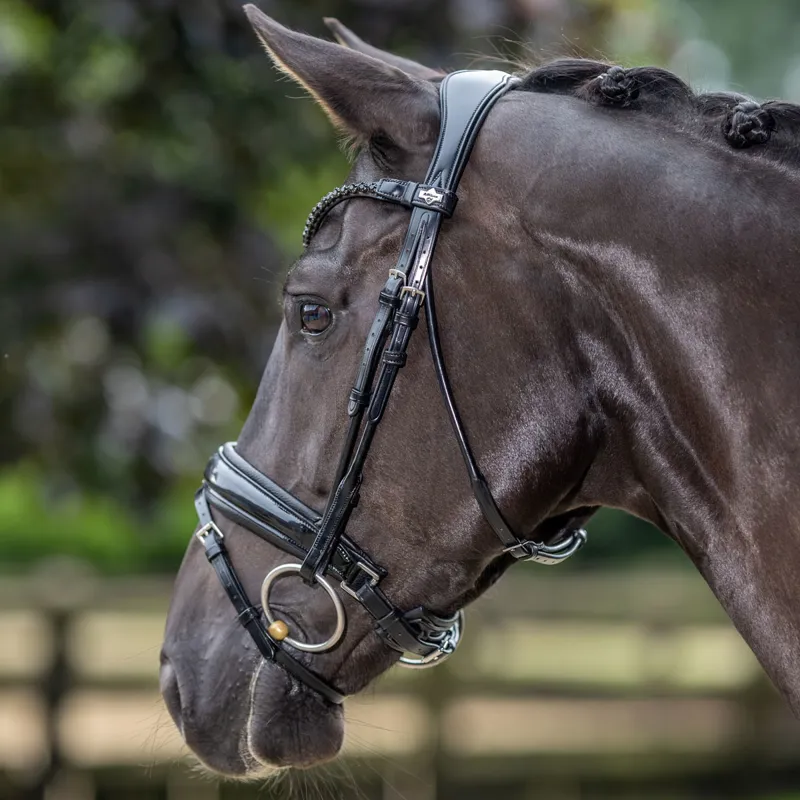 LeMieux Kudos Patent Dressage Bridle - Black-2
