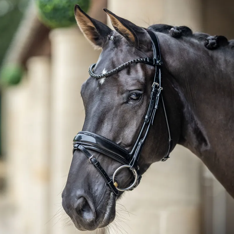 LeMieux Kudos Patent Dressage Bridle - Black-1