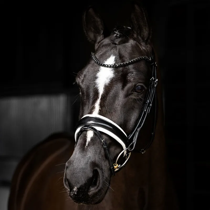 LeMieux Kudos Patent Dressage Bridle - Black/White-1